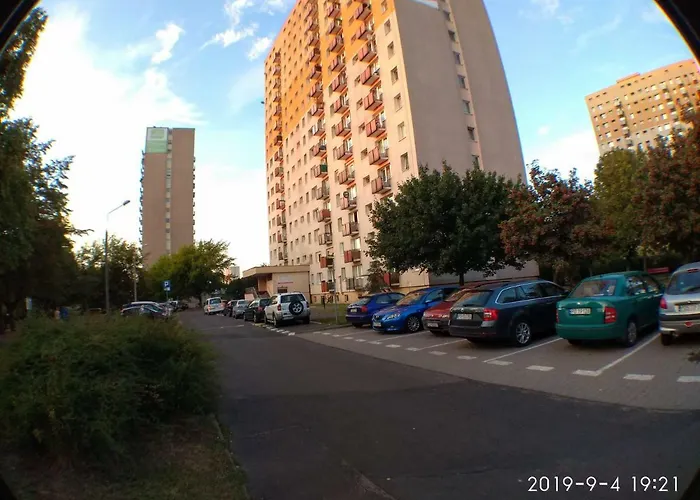 Appartement 2020 Zwyciestwa 18 - Mieszkanie / Kawalerka / *